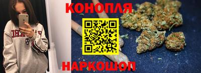 прущие грибы Комсомольск-на-Амуре